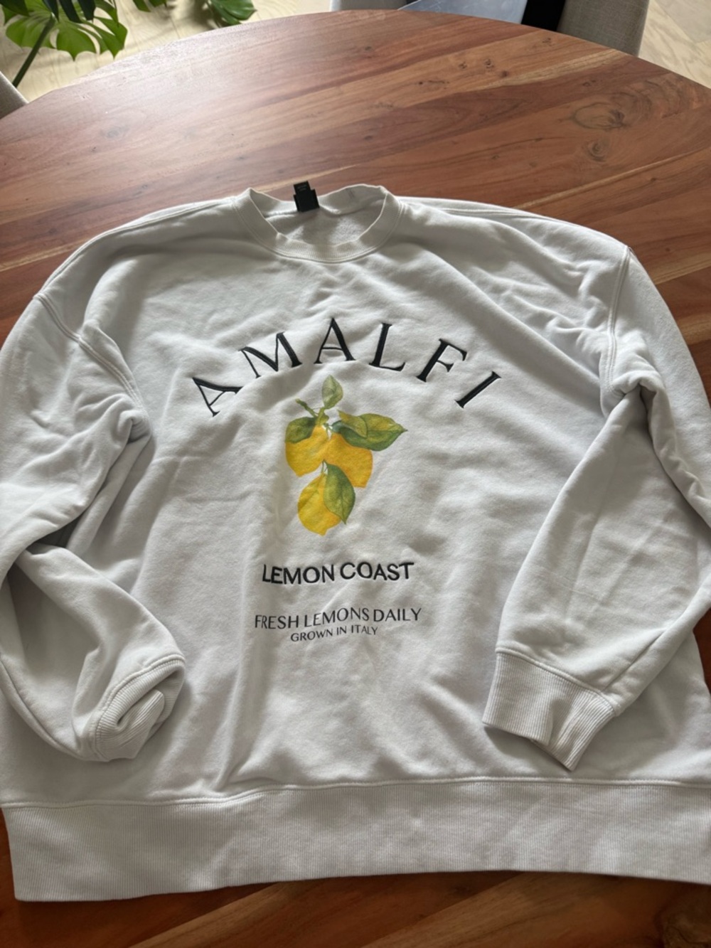 wild fable White Crewneck Sweater with Yellow & Green Lemon Graphic